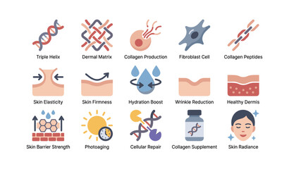 Obraz premium Collagen and skin health icons showing benefits in grid layout