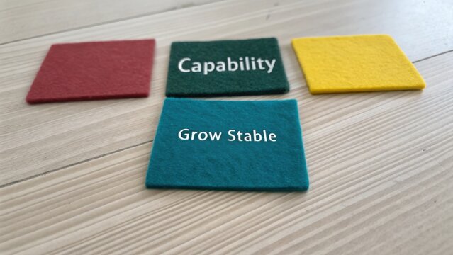 Colorful Felt Squares with Text Elements Representing Growth and Capability on a Light Wooden Surface