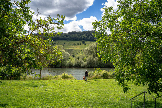 Das Licht tanzte &uuml;ber den Hang, w&auml;hrend die Wolken ihre Schatten langsam &uuml;ber die Reben schoben. Die Mosel wirkte wie ein Spiegel, der Himmel und Landschaft zu einem einzigen Gem&auml;lde verschmelzen lie&szlig;