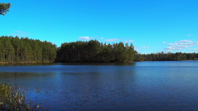 A lake is shown with clear water reflecting the blue sky and white clouds. Surrounding the lake are tall trees creating a green border along the water's edge. The area looks quiet and untouched, 