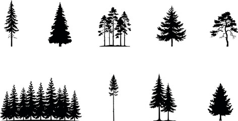 Detailed collection of black evergreen tree silhouettes representing various coniferous species for nature-inspired design. ©  Victory Pixel