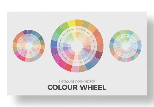 Modern Color Wheel Vector Infographic Template with Pastel Palette for Design Guide