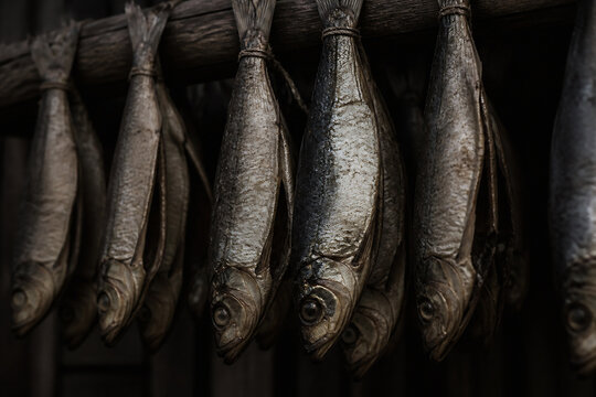 Dried fish are hanging from a wooden rack in a dark, rustic setting.