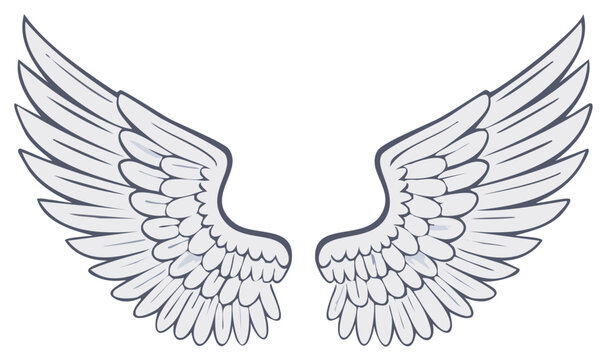 Majestic Feathered Angel Wings Spread Open in a White Space