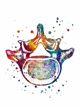Colorful watercolor illustration of a human spinal vertebra showing vertebral body and processes from above in vibrant rainbow splatter style on white background.
