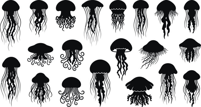 Black silhouette jellyfish collection marine life vector illustration set