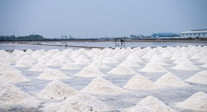 Landscape sea salt farm in Thailand. Brine salt. Raw material of salt industrial. Sodium Chloride. Evaporation and crystallization of sea water. Salt harvesting. Agriculture industry. Traditional farm