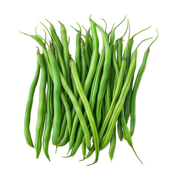 A pile of green beans, neatly arranged, showing their vibrant color. full length isolate on transparent background