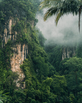 Dirt trail leading towards dramatic limestone karst mountains hidden in thick tropical mist.