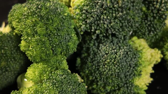 Macro Close Up of Fresh Green Broccoli Florets with Water Droplets