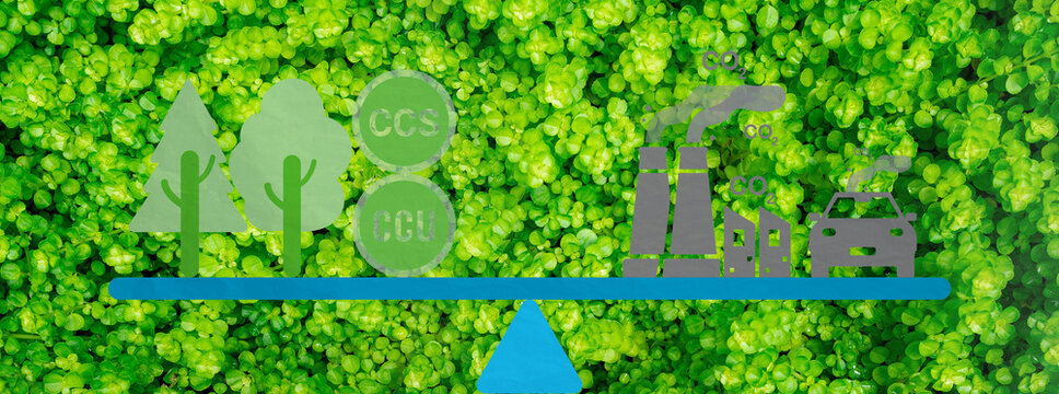 Carbon neutrality. Balancing CO2 emissions from industry and transport with natural and technological carbon capture. Climate change mitigation and environmental sustainability. Green energy solutions
