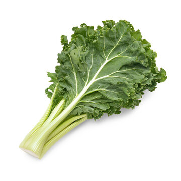 A cut through the stem reveals its fibrous texture and veins. full length isolate on transparent background