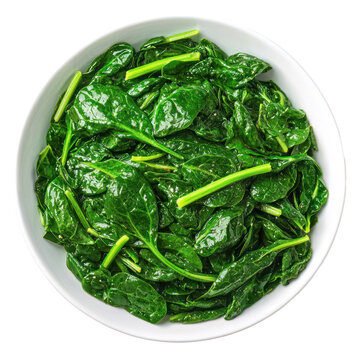 Lightly cooked spinach with a glistening, wilted texture. full length isolate on transparent background