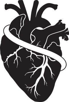 Anatomical heart icon with wrapping belt band concept for health medical fitness cardiology awareness and cardio training visualization vector design element.