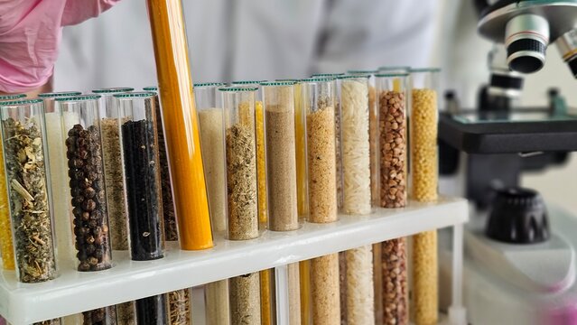 Different types of plant samples are placed in test tubes for research in a laboratory