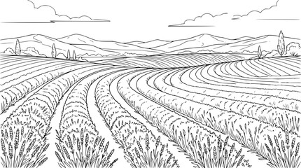 Fototapeta premium Lavender field landscape line art illustration with mountains