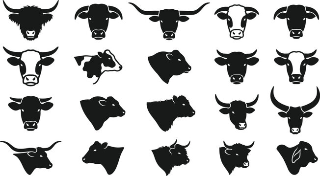 Bull and Cow Head Silhouette Icon Set with Highland Cattle Longhorn and Steer Vectors for Butchery Logo Designs