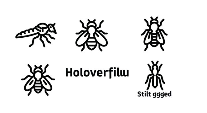 Various fly species silhouettes including hoverfly and stilt-legged.