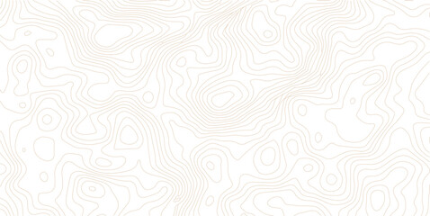 Abstract topographic map contour lines pattern on white background with topographic abstract geography elevation background cartography minimalist © MD