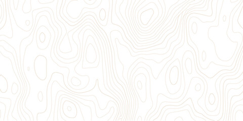 Abstract topographic map contour lines pattern on white background with topographic abstract geography elevation background cartography minimalist © MD
