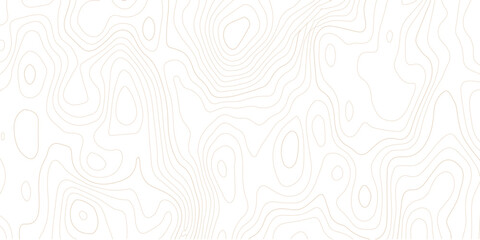 Abstract topographic map contour lines pattern on white background with topographic abstract geography elevation background cartography minimalist © MD
