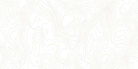Abstract topographic map contour lines pattern on white background with topographic abstract geography elevation background cartography minimalist © MD