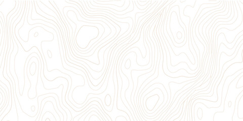 Abstract topographic map contour lines pattern on white background with topographic abstract geography elevation background cartography minimalist © MD