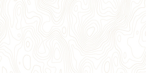 Abstract topographic map contour lines pattern on white background with topographic abstract geography elevation background cartography minimalist © MD
