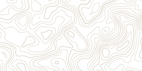 Abstract topographic map contour lines pattern on white background with topographic abstract geography elevation background cartography minimalist © MD