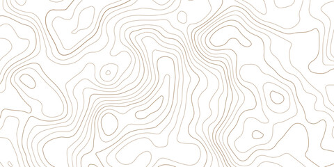 Abstract topographic map contour lines pattern on white background with topographic abstract geography elevation background cartography minimalist © MD