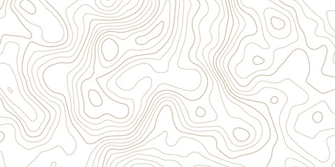 Abstract topographic map contour lines pattern on white background with topographic abstract geography elevation background cartography minimalist © MD