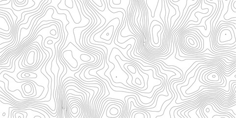 Abstract topographic map contour lines pattern on white background with topographic abstract geography elevation background cartography minimalist © MD