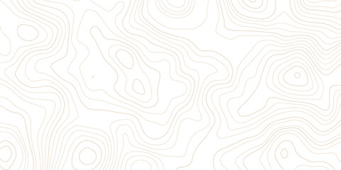 Abstract topographic map contour lines pattern on white background with topographic abstract geography elevation background cartography minimalist © MD