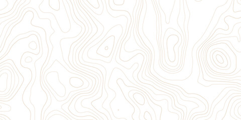 Abstract topographic map contour lines pattern on white background with topographic abstract geography elevation background cartography minimalist © MD
