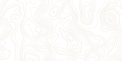 Abstract topographic map contour lines pattern on white background with topographic abstract geography elevation background cartography minimalist © MD