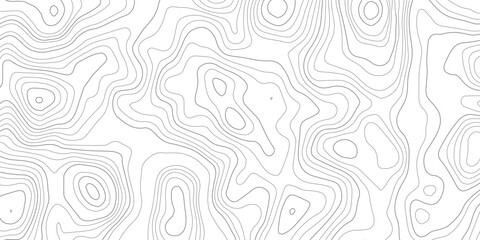 Abstract topographic map contour lines pattern on white background with topographic abstract geography elevation background cartography minimalist © MD