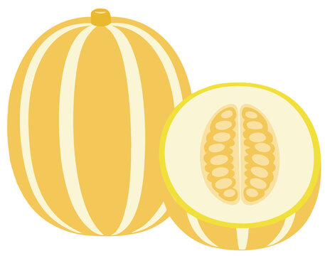 Korean melon illustration png