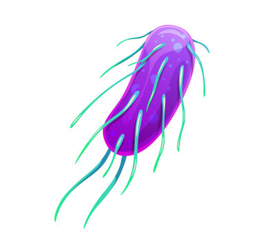 Bacteria bacillus or protozoa parasite and protista microorganism cartoon icon. Ameba virus or germ microbe and microbiota bacterium pathogen, amoeba micro organism of salmonella or escherichia coli