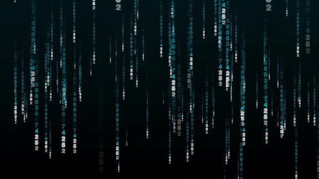 Digital matrix code rows drop streaming vertical value arrays down dark monitor walls. Software developer compilation terminals integrate a digital matrix code row loop.