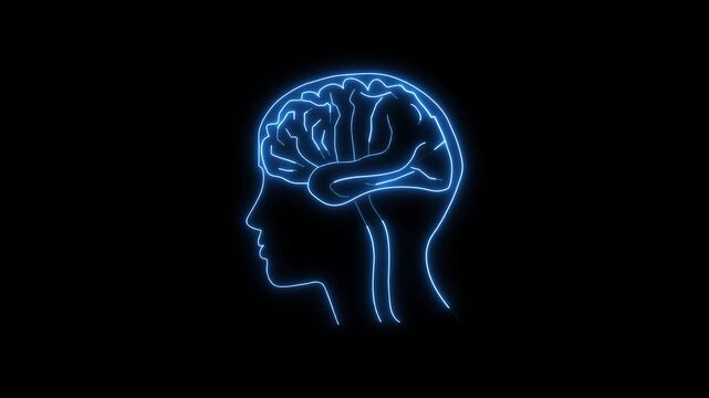 Human anatomy outline vectors draw electronic brain circuit tracks on dark backgrounds. Advanced psychology research projects apply a human anatomy outline vectors clip.