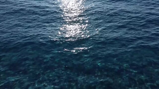 Sunlight gracefully dances on the calm, deep blue ocean surface, casting shimmering reflections and revealing clear underwater textures in a serene marine environment