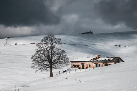 winter landscape in the mountains with dramatic mood in lessinia with a lonely tree and stone hut