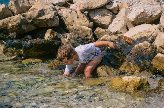 A little boy reaches into the crystal-clear Adriatic Sea to pick up a stone near the rocky shoreline in Pako&scaron;tane, Croatia. This authentic family lifestyle scene celebrates curiosity, exploration.