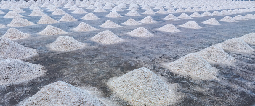 Sea salt farm. Pile of brine salt. Raw material of salt industrial. Sodium Chloride mineral. Evaporation and crystallization of sea water. White salt harvesting. Agriculture industry. Traditional farm