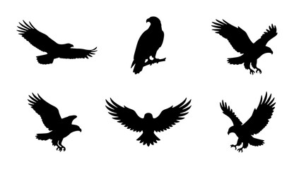 Fototapeta premium Eagle Silhouettes, Bird Icons, Wildlife Vector Set, Majestic Raptor Poses, Graphic Elements
