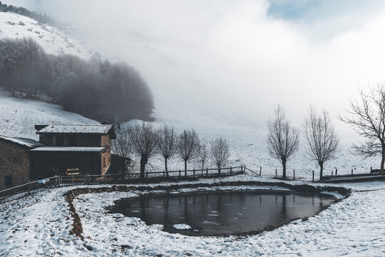 little house with a pind in the misty hills in winter