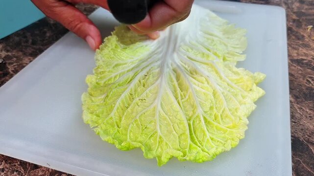 A person using a kitchen knife to slice a fresh napa cabbage leaf lengthwise on a white cutting board