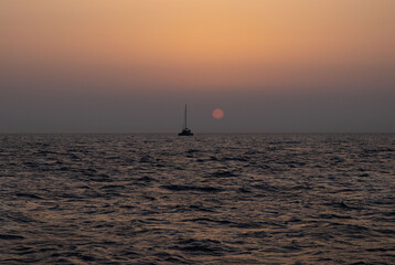 the suns best friend © Pablo