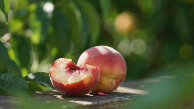 Fresh ripe peach whole and piece with bite mark on wooden table in sunny garden summer orchard background outdoor