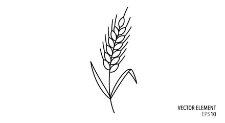 Single wheat stalk outline icon for agricultural design © anto